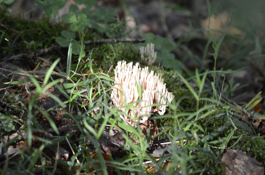 20191013-0114.JPG