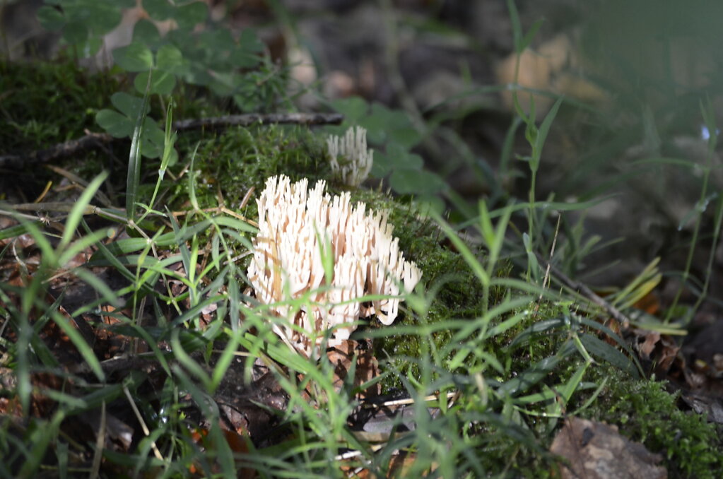 20191013-0115.JPG