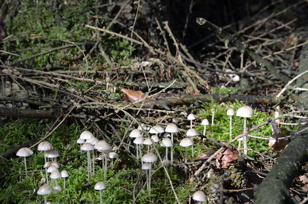 20191216-0333.JPG
