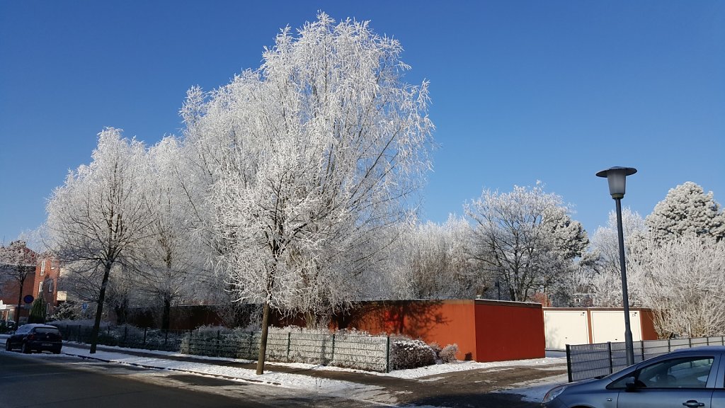 20160122-131908.jpg