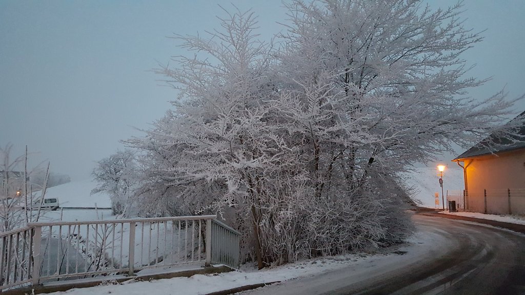 20160122-075444.jpg