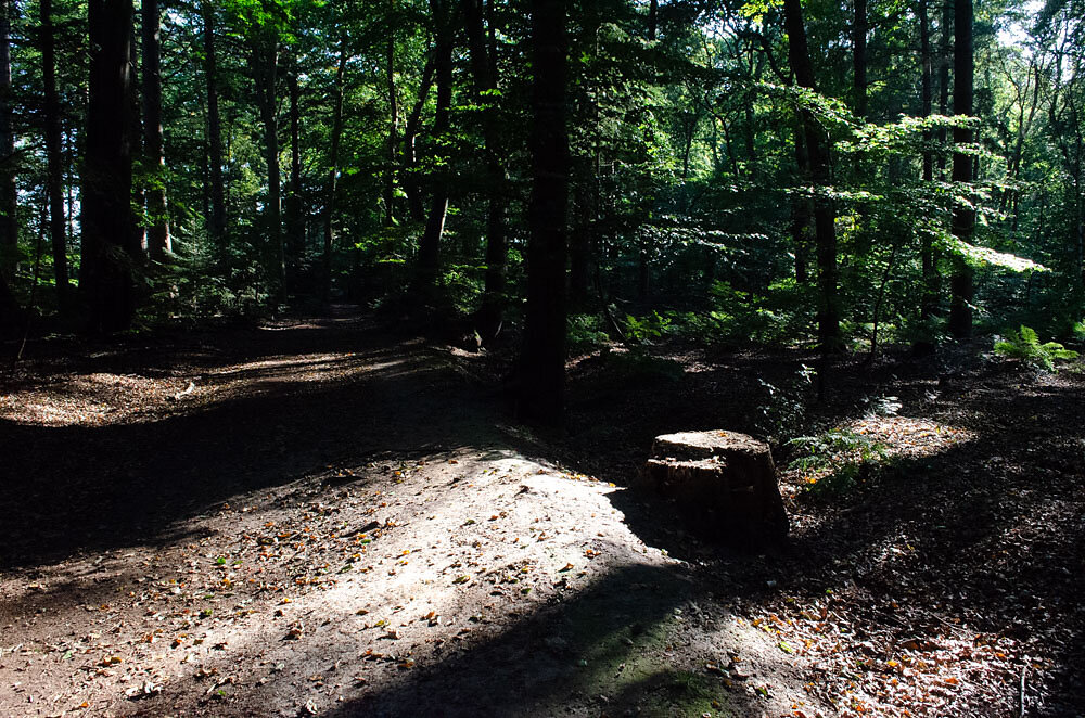 DSC0095.JPG