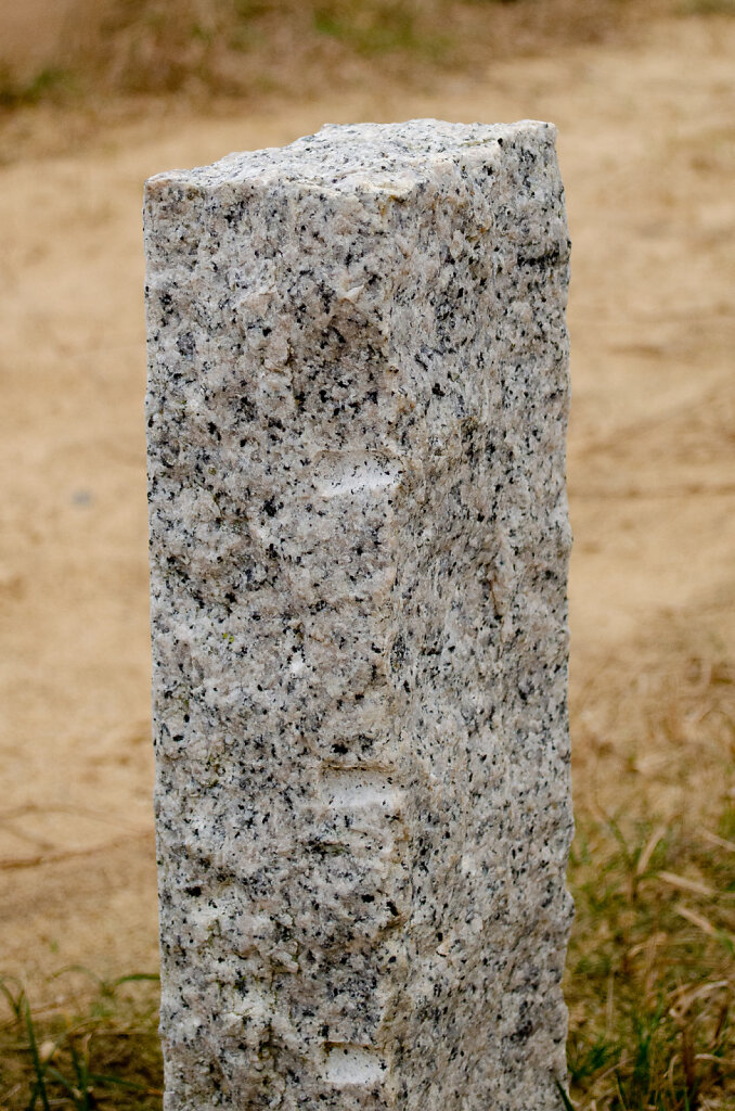 DSC0109.jpg