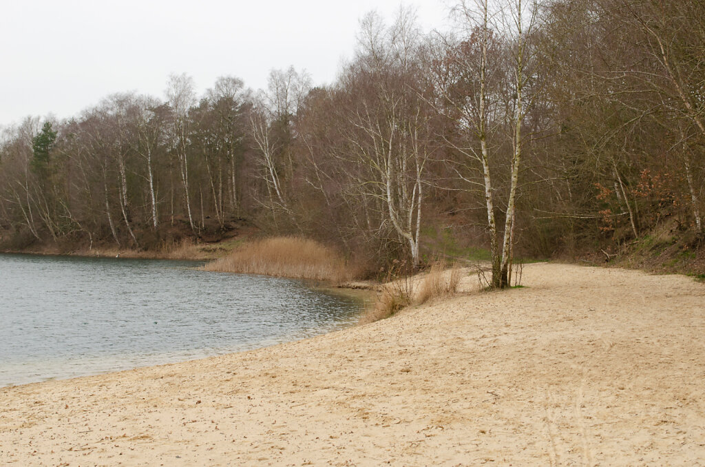DSC0143.jpg