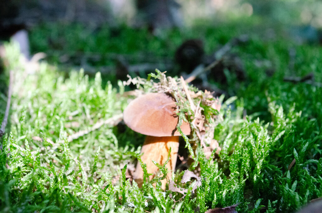 DSC0086.jpg