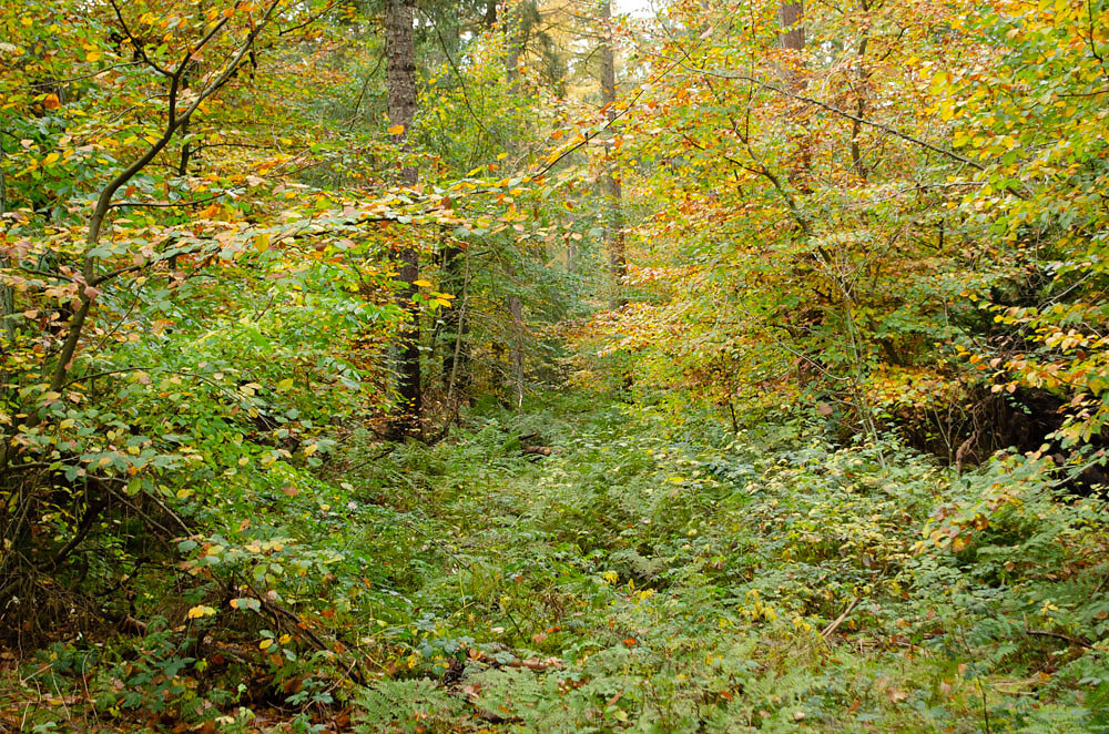 DSC0105.JPG