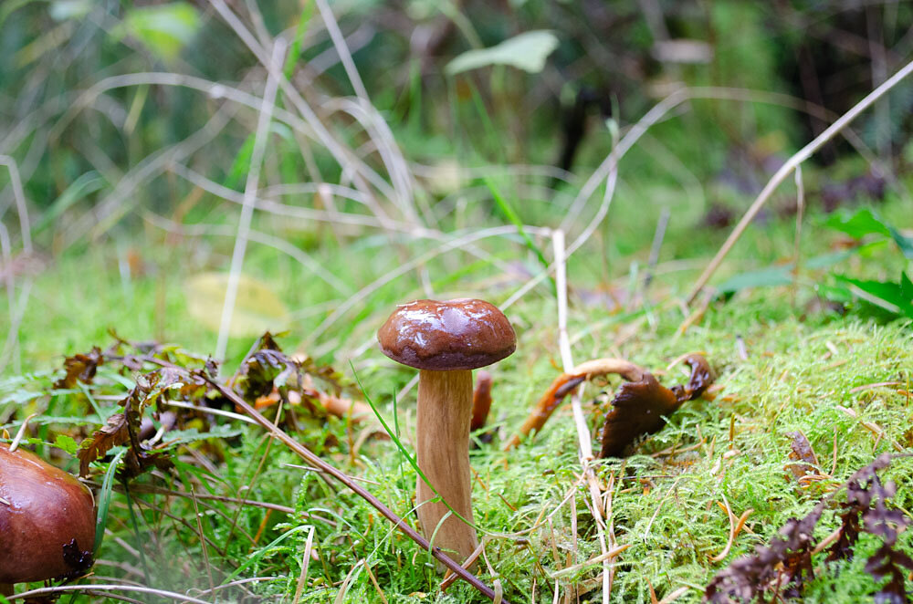 DSC0116.JPG