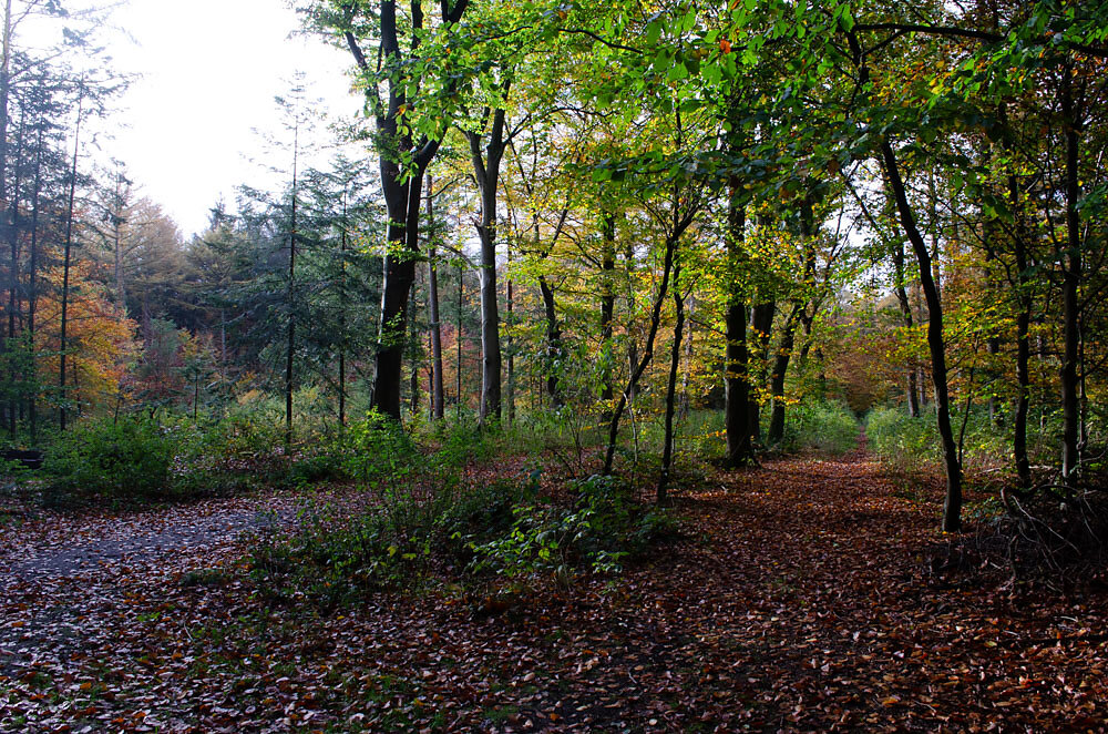 DSC0119.JPG