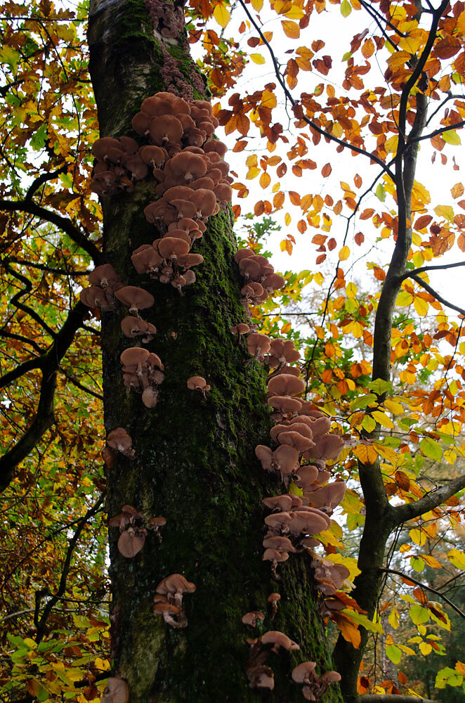 DSC0120.JPG